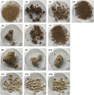 Microbial Community Structure and Chemical Constituents in Shinkiku, a Fermented Crude Drug Used in <mark class="highlighted">Kampo Medicine</mark>
